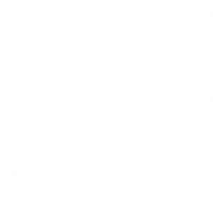 Gạch lát nền Prime 80x80 8892