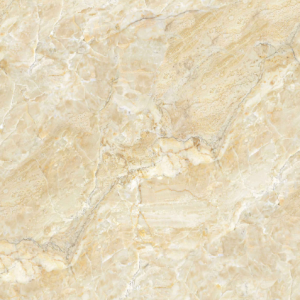 Gạch Ốp Lát Tasa 60x60 Mã Sản Phẩm 5066