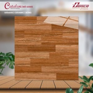 Gạch Ốp Lát Catalan 60x60 Mã Sản Phẩm 63005