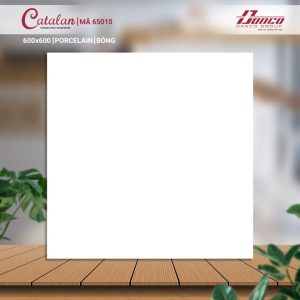 Gạch Ốp Lát Catalan 60x60 Mã Sản Phẩm 65010