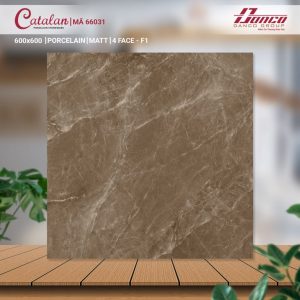 Gạch Ốp Lát Catalan 60x60 Mã Sản Phẩm 66031