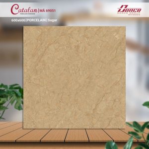 Gạch Ốp Lát Catalan 60x60 Mã Sản Phẩm 69051