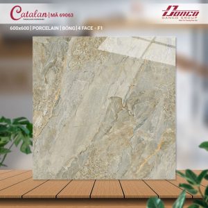 Gạch Ốp Lát Catalan 60x60 Mã Sản Phẩm 69063