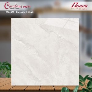 Gạch Ốp Lát Catalan 60x60 Mã Sản Phẩm 69071