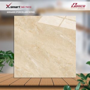 Gạch Ốp Lát Catalan 60x60 Mã Sản Phẩm 75010