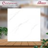 Gạch Ốp Lát Catalan 80x80 Mã Sản Phẩm 85001