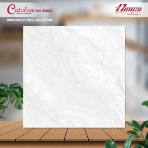 Gạch Ốp Lát Catalan 80x80 Mã Sản Phẩm 85003