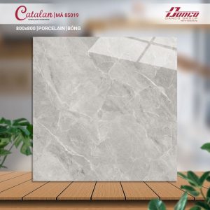 Gạch Ốp Lát Catalan 80x80 Mã Sản Phẩm 85019