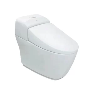 Bồn cầu nắp rửa cơ Inax AC-1032VN+CW-S32VN