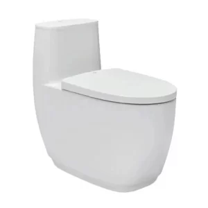 Bồn cầu 1 khối Inax AC-1052VN