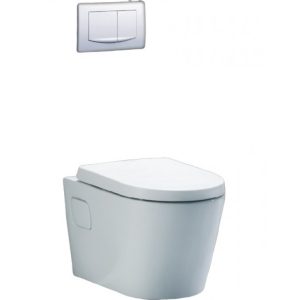 Bồn cầu âm tường Caesar CPT1503