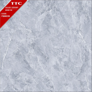 Gạch Ốp Lát TTC 60x60 Mã Sản Phẩm FB66039