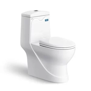 Bồn cầu Viglacera V38