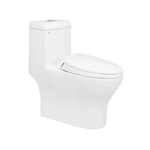 Bồn cầu Viglacera V45