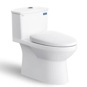 Bồn cầu 1 khối Viglacera V811