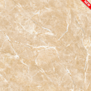 Gạch Ốp Lát TTC 60x60 Mã Sản Phẩm FB66029
