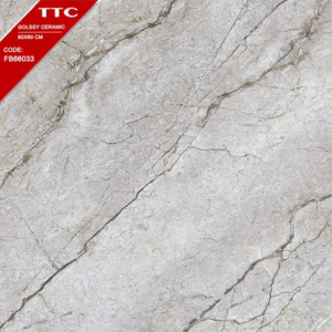 Gạch Ốp Lát TTC 60x60 Mã Sản Phẩm FB66033