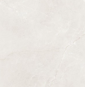 Gạch Ốp Lát Taicera 60x120 Mã Sản Phẩm G12845