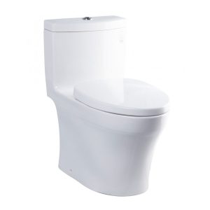 Bồn cầu 1 khối TOTO MS889DRT3