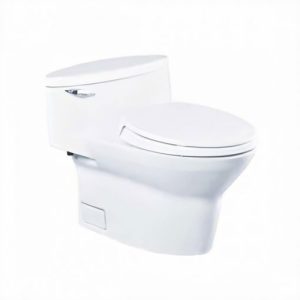 Bồn cầu 1 khối TOTO MS904T2
