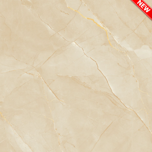 Gạch Ốp Lát TTC 60x60 Mã Sản Phẩm PN66050