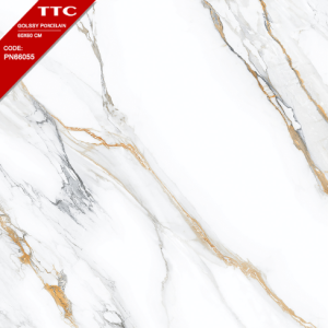 Gạch Ốp Lát TTC 60x60 Mã Sản Phẩm PN66055