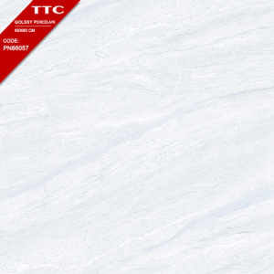 Gạch Ốp Lát TTC 60x60 Mã Sản Phẩm PN66057