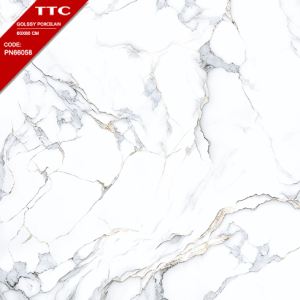 Gạch Ốp Lát TTC 60x60 Mã Sản Phẩm PN66058