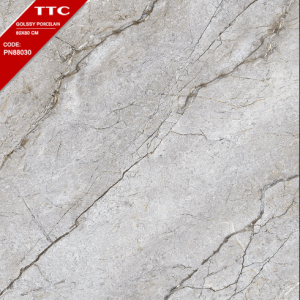 Gạch Ốp Lát TTC 80x80 Mã Sản Phẩm PN88030