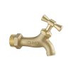Vòi Chậu 1 Đường Lạnh Caesar Mã W035