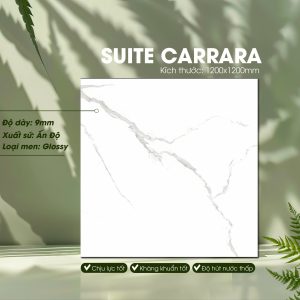 Gạch Ốp Lát Ấn Độ 1200x1200 Mã Suite Carrara