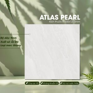 Gạch Ốp Lát Ấn Độ 1200x1200 Mã Atlas Pearl