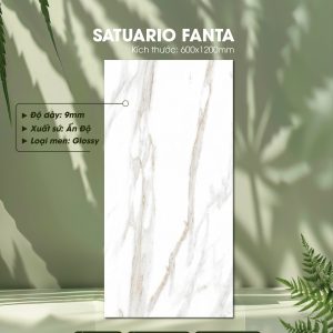 Gạch Ốp Lát Ấn Độ 60x120 Mã Satuario Fanta