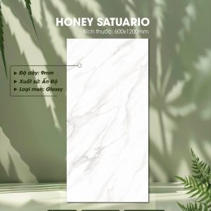 Gạch Ốp Lát Ấn Độ 60x120 Mã Honey Satuario