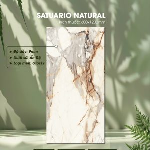 Gạch Ốp Lát Ấn Độ 60x120 Mã Satuario Natural