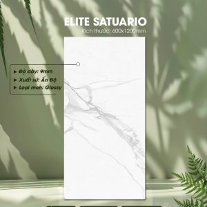 Gạch Ốp Lát Ấn Độ 60x120 Mã Elite Satuario