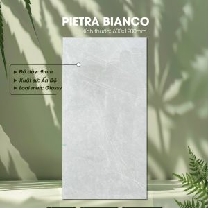 Gạch Ốp Lát Ấn Độ 60x120 Mã Pietra Bianco