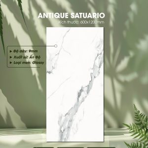 Gạch Ốp Lát Ấn Độ 60x120 Mã Antique Satuario