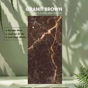 Gạch Ốp Lát Ấn Độ 60x120 Mã Granit Brown
