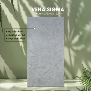 Gạch Ốp Lát Ấn Độ 60x120 Mã Vena Sigma