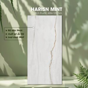 Gạch Ốp Lát Ấn Độ 60x120 Mã Harisn Mint
