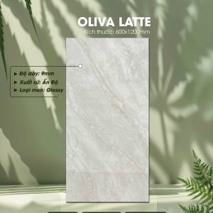 Gạch Ốp Lát Ấn Độ 60x120 Mã Oliva Latte