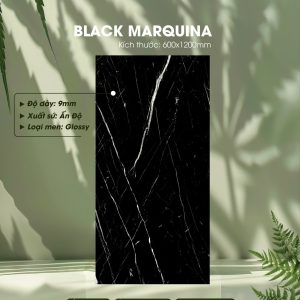 Gạch Ốp Lát Ấn Độ 60x120 Mã Black Marquina
