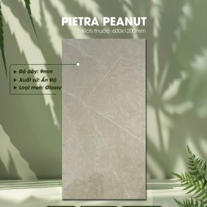 Gạch Ốp Lát Ấn Độ 60x120 Mã Pietra Peanut