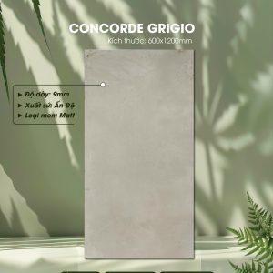 Gạch Ốp Lát Ấn Độ 60x120 Mã Concorde Grigio