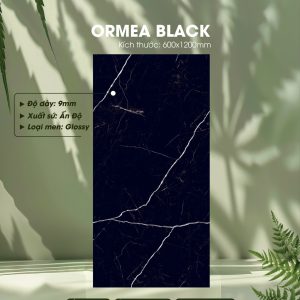 Gạch Ốp Lát Ấn Độ 60x120 Mã Ormea Black
