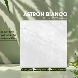 Gạch Ốp Lát Ấn Độ 800x800 Mã Astron Bianco