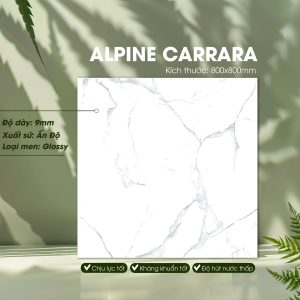 Gạch Ốp Lát Ấn Độ 800x800 Mã Alpine Carrara