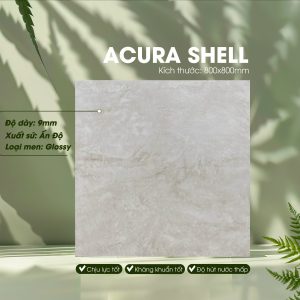 Gạch Ốp Lát Ấn Độ 800x800 Mã Acura Shell