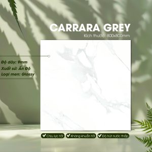 Gạch Ốp Lát Ấn Độ 800x800 Mã Carrara Grey